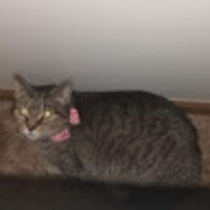 Meet your Posher, Caitlynn